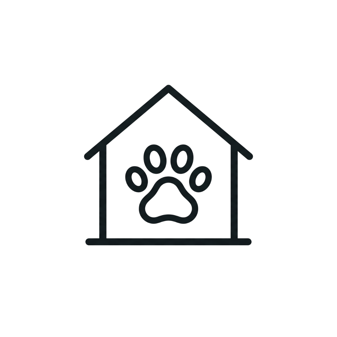 Home page