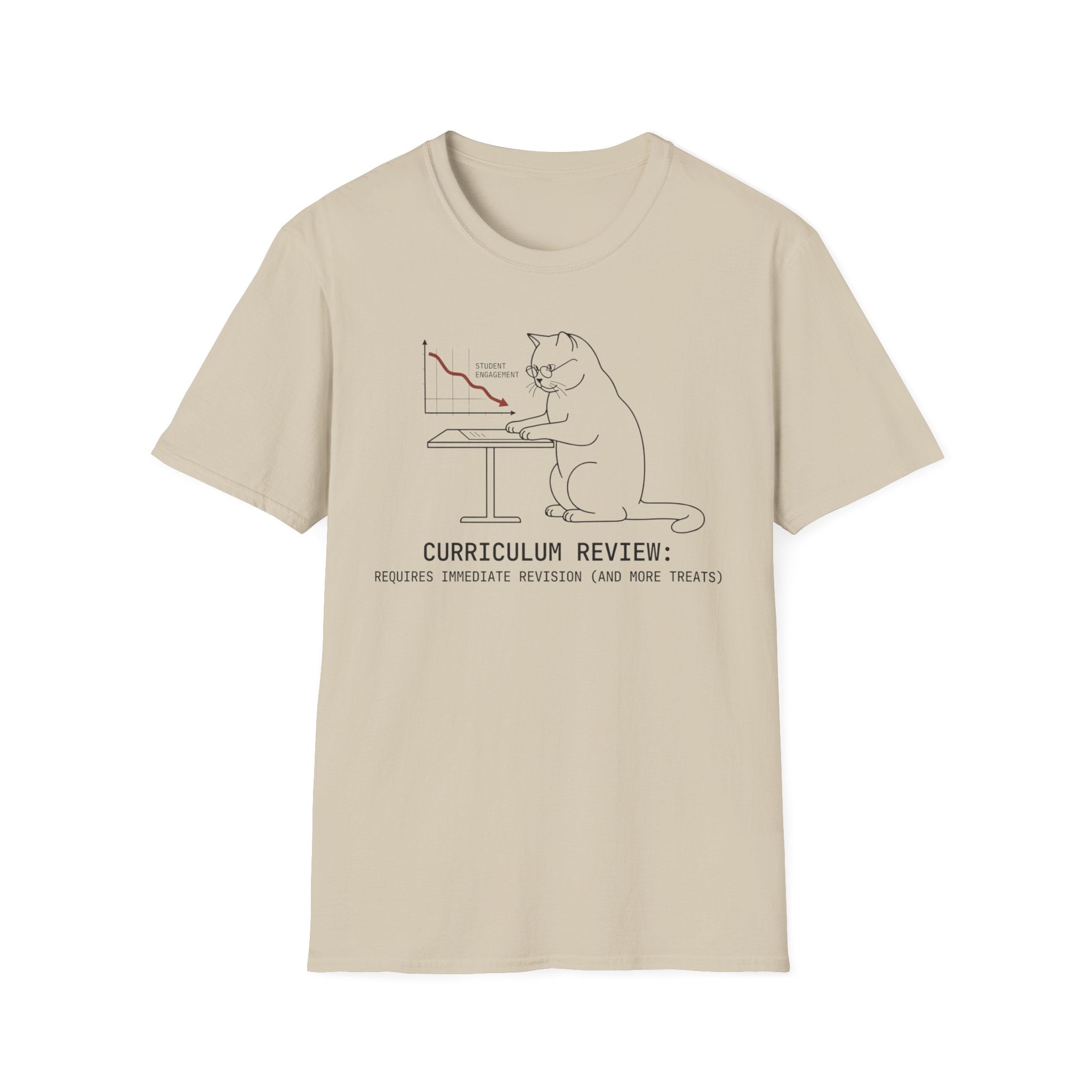 Curriculum Review Cat T-Shirt