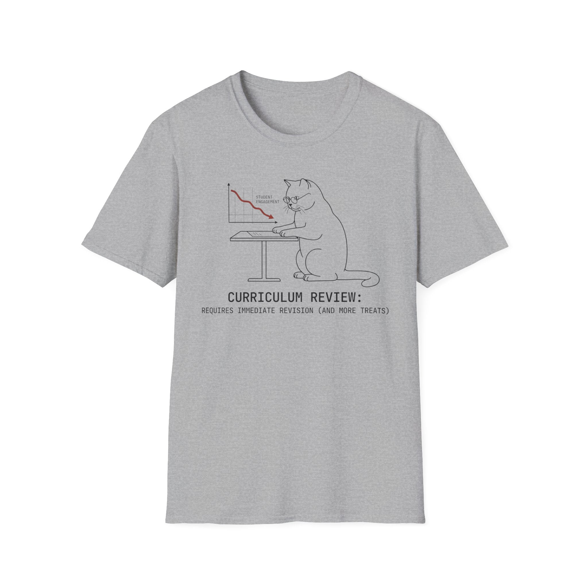 Curriculum Review Cat T-Shirt